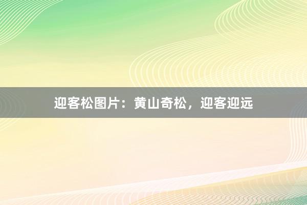 迎客松图片：黄山奇松，迎客迎远